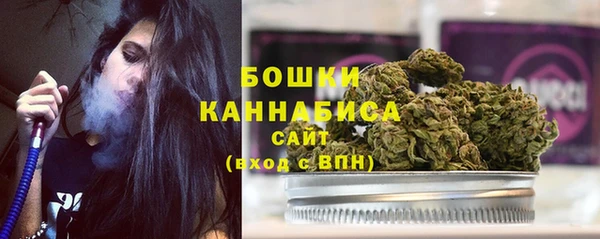 ГАЛЛЮЦИНОГЕННЫЕ ГРИБЫ Бронницы